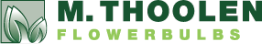 mthoolen